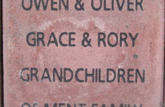 Owen & Oliver Grace & Rory Grandchildren of Ment Family