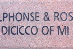 Alphone & Rose Dicicco of MI