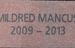 Mildred Mancusi 2009-2013