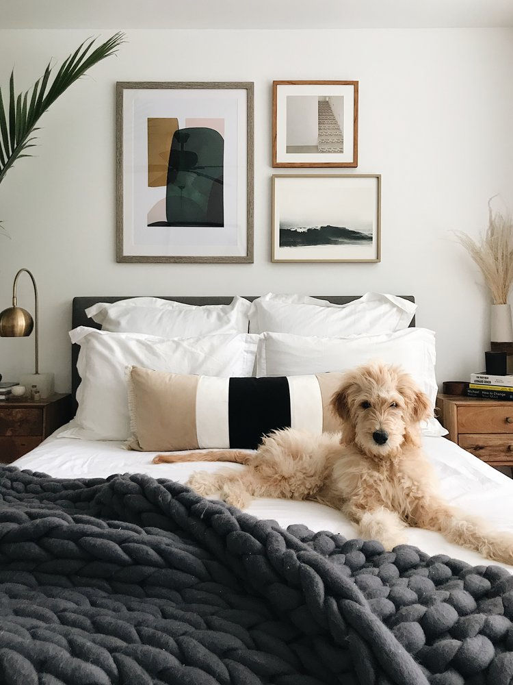 Goldendoodle in einem mit natürlichen Tönen dekoriertem Bett
