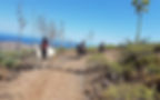 horseback riding