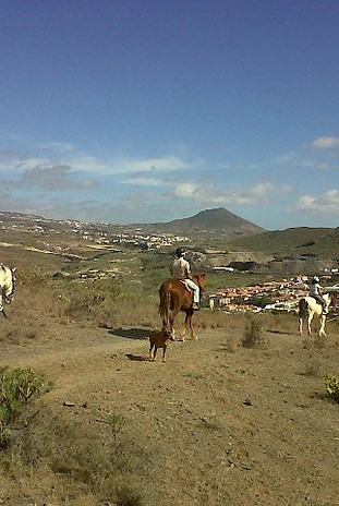Tenerife à cheval.jpeg