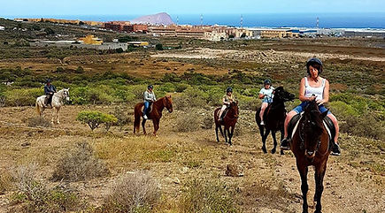 Tenerife Horse riding