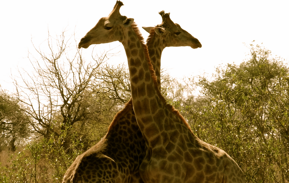 DSC01125_edited
