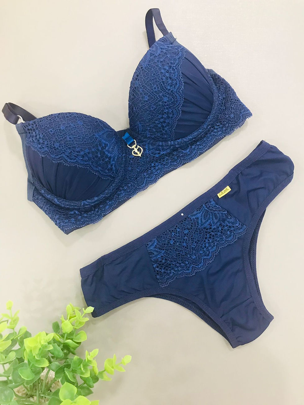 Conjunto de Lingerie