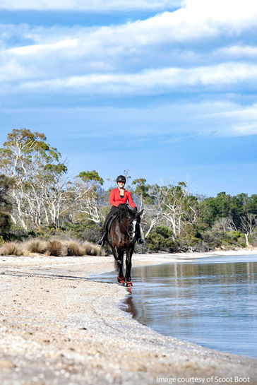 scootboots-mortimer-bay-beach-horseriding.jpg