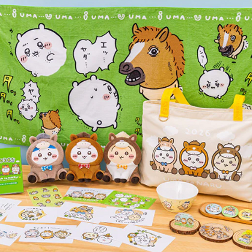 Japan New Year Lucky Bag | Shinseijpn.com