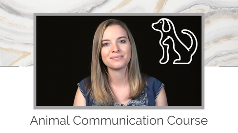 Animal Communication Course