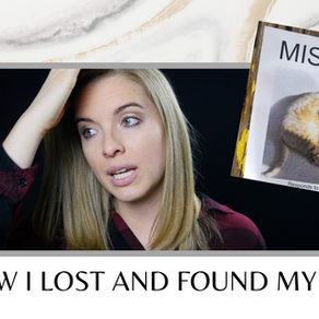 How to Find a Lost Pet