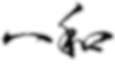 LOGO_page-0001 (1)_edited_edited_edited_edited.png