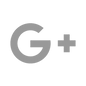 Grey Google+ Icon