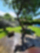 Giardino B&B