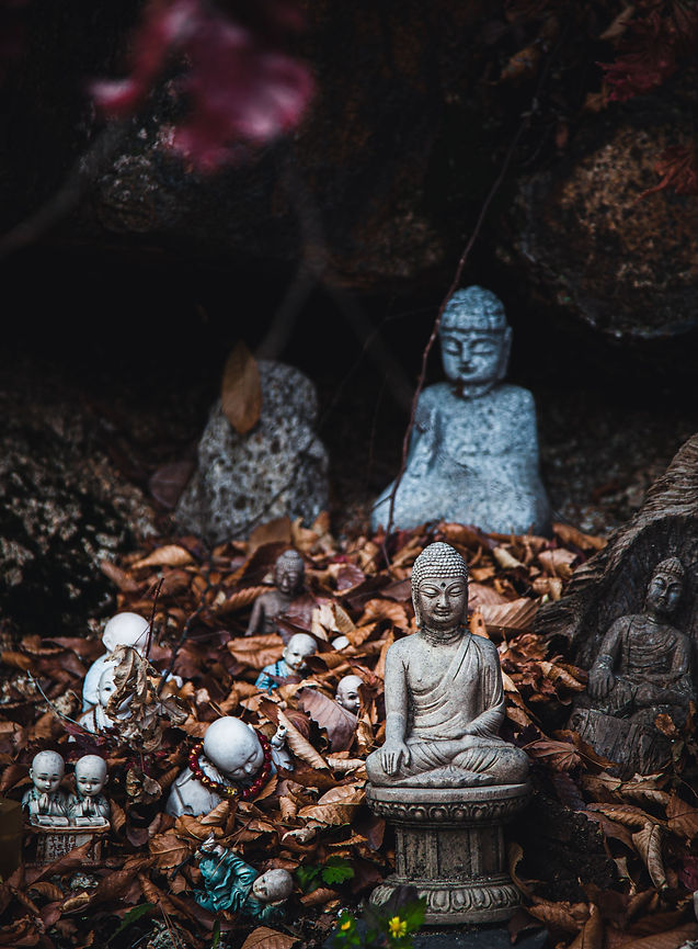 buddha-statues-in-autumn-leaves-2026-03-18-06-43-41-utc.jpg