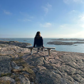 Just do it for the plot