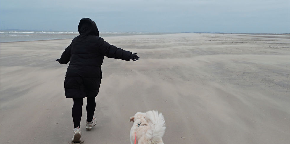 Der Mut zu mehr Veränderung im Leben