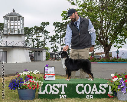 2026-07-03-FRI-LOST-CST_mast-w-no-j-E.jpg