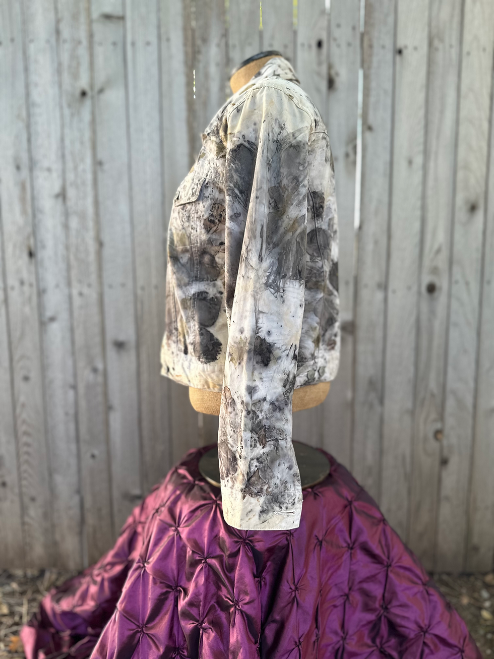 Thumbnail: Myrta Cotton Jean Jacket