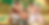 大相撲加古川場所タイトル・日付なし.png