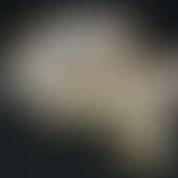 What is Site Documentation?