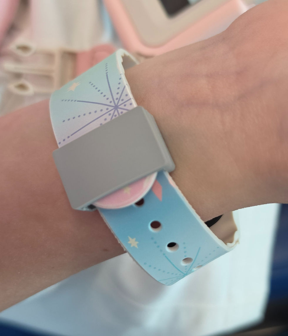 Disneyband + with a small lock