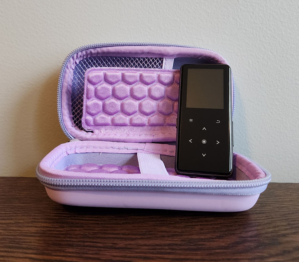 Mp3 player and case