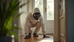 Eliminating Pests: Effective Services for a Healthy Home