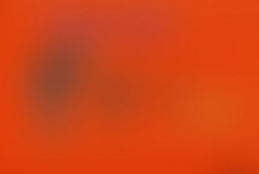 El muro o la pared en la maratón! ¿Quién construye el muro?