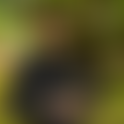 GRW tells an old western tale in “100 Pounds” to introduce upcoming album, MARIJUANA MURDER BALLADS