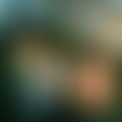 Indie band Ratboys poses for a photo shoot