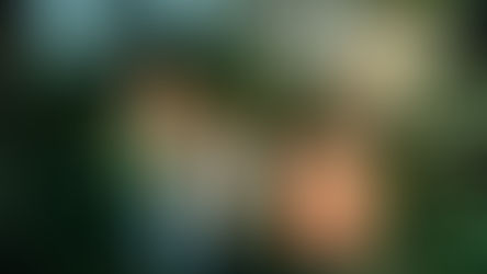 Indie band Ratboys poses for a photo shoot