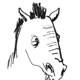 A Drawn Horse