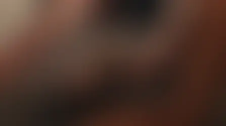 Charli XCX coming out with her new album "Wuthering Heights" this Friday