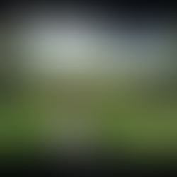 SIX TIME LOSERS RELEASE LONG-AWAITED ALBUM, ONLY FIRST NAMES DIE