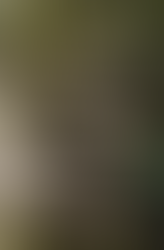 Zach Bryan Kicks Off 2026 "With Heaven on Top"