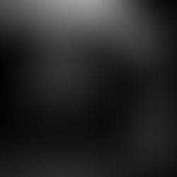 Whiskey Wears Off, But Does The Memory?