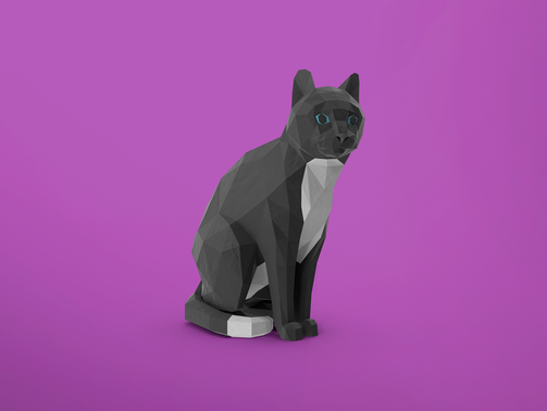O efeito “atirei o pau no gato” na comunicação
