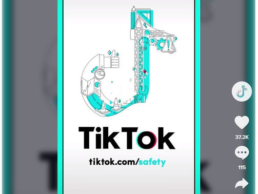 TikTok cria perfil de dicas sobre segurança e bem-estar