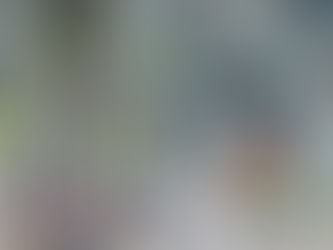 Meta Revoluciona Opções de Segmentação de Público para Anúncios Advantage+ Catalog