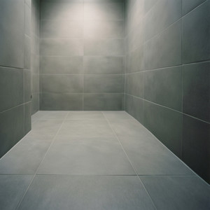 Accessible Shower Renovation