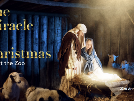 Traiga alegría estas fiestas con CFBOC en el zoológico