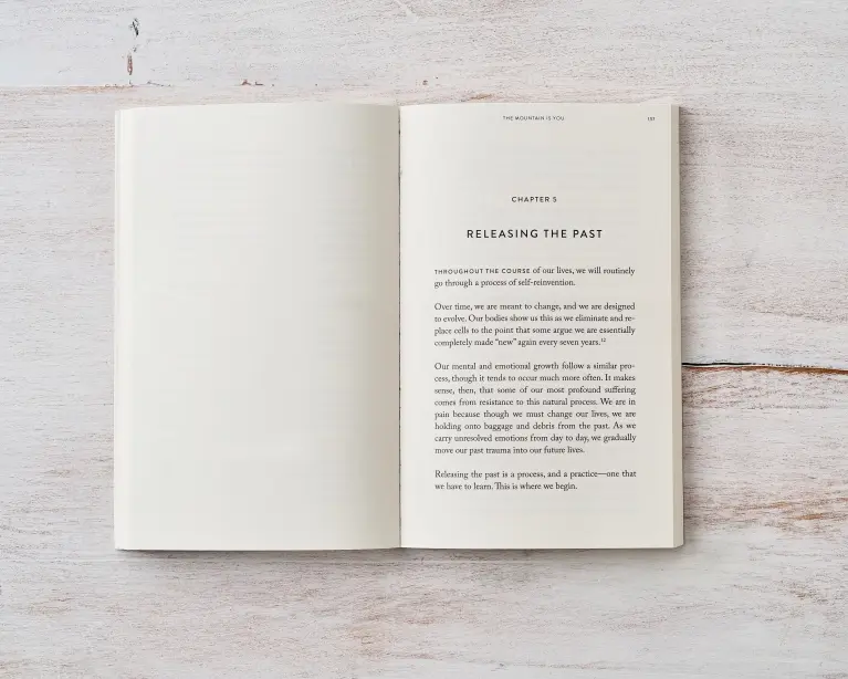 Thumbnail: The Mountain Is You Book