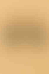 Silver Bird Pearl Dangler Earrings