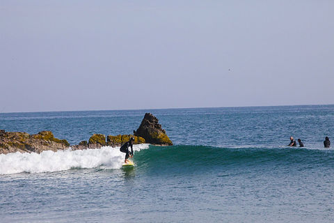 5b1e4c2f-8aef-4b4d-b060-56bc03e8caaf.jpg