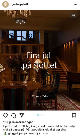 picture of Bjertorp Slott webpage