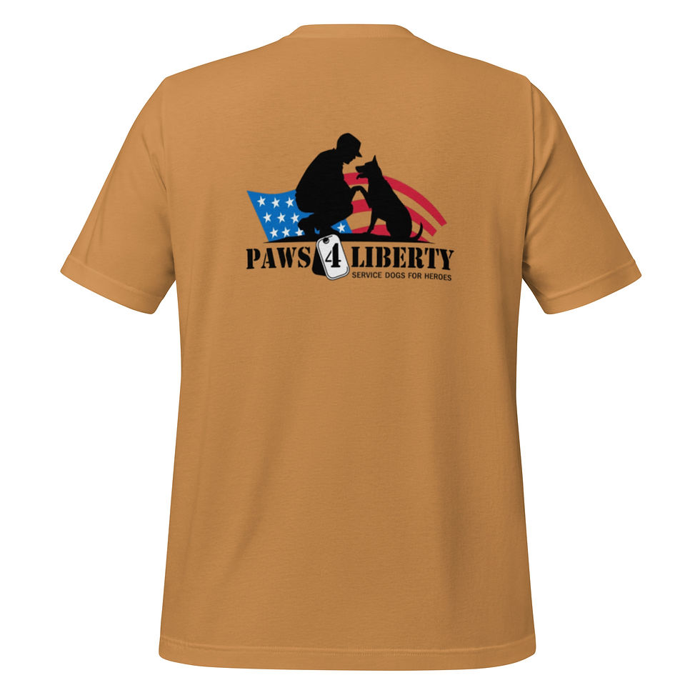 Thumbnail: Basic Unisex P4L Logo t-shirt