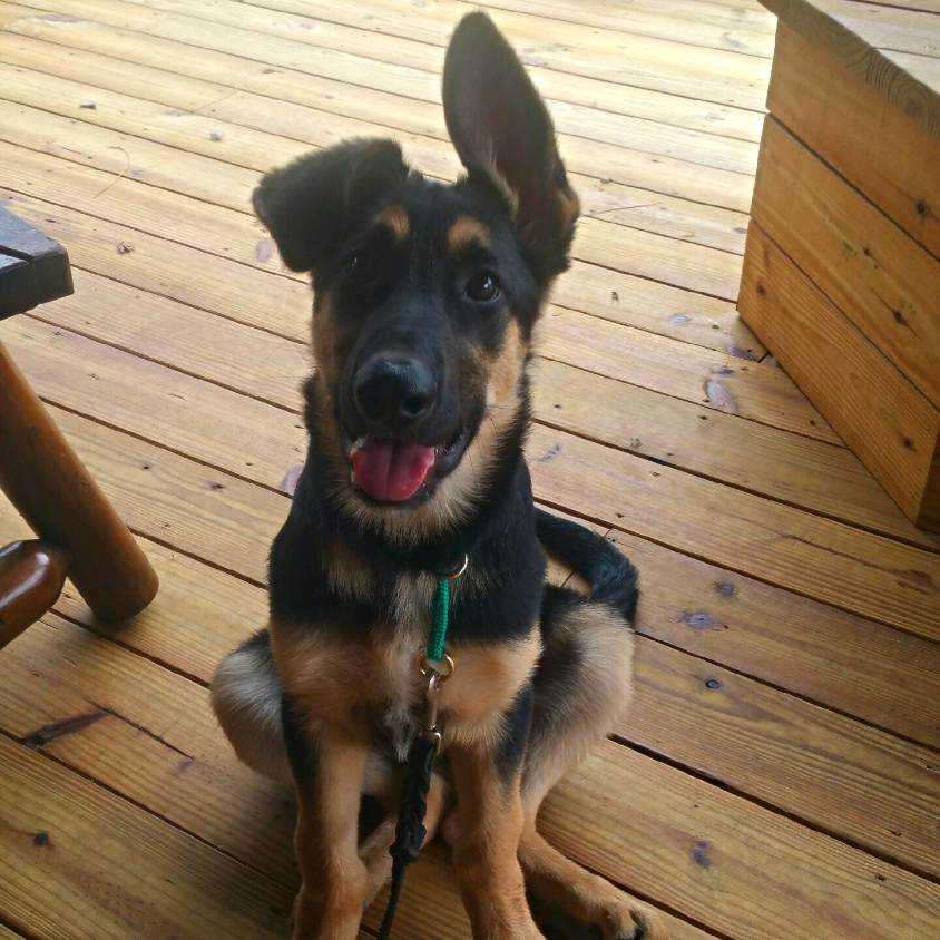 Axel
