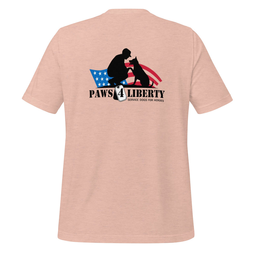 Thumbnail: Basic Unisex P4L Logo t-shirt