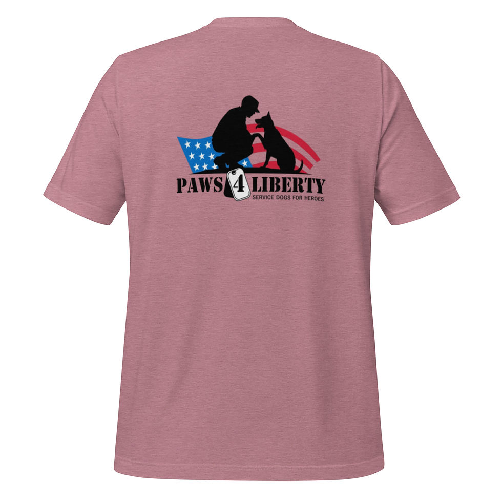 Thumbnail: Basic Unisex P4L Logo t-shirt