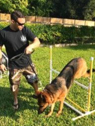 Team Training at Paws 4 Liberty