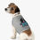 Thumbnail: Paw4Liberty 26 Pet Tank Top | Dog Silhouette, Racing Number